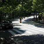 Spacious Apartment In Central Seoul